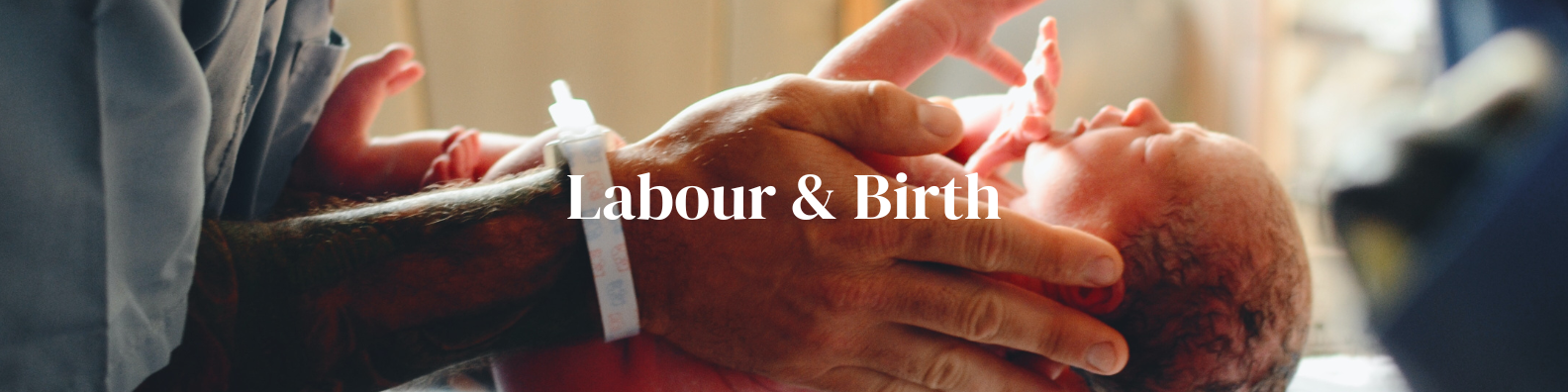 Labour & Birth